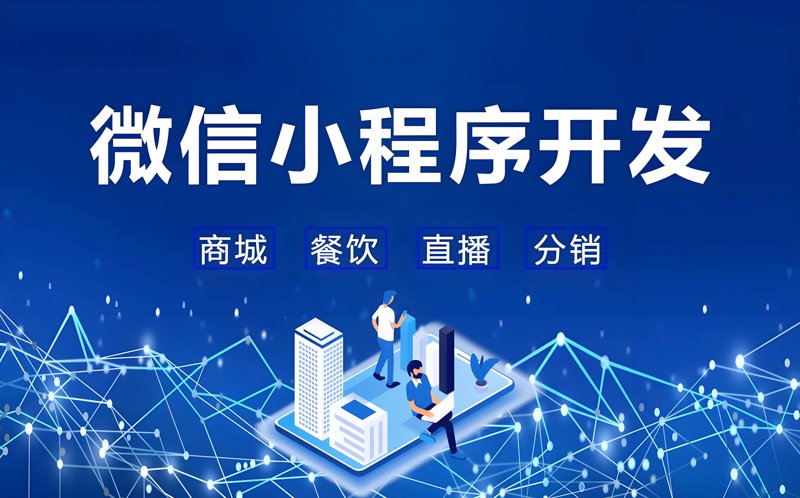 定制企业管理系统：构建高效运营的核心